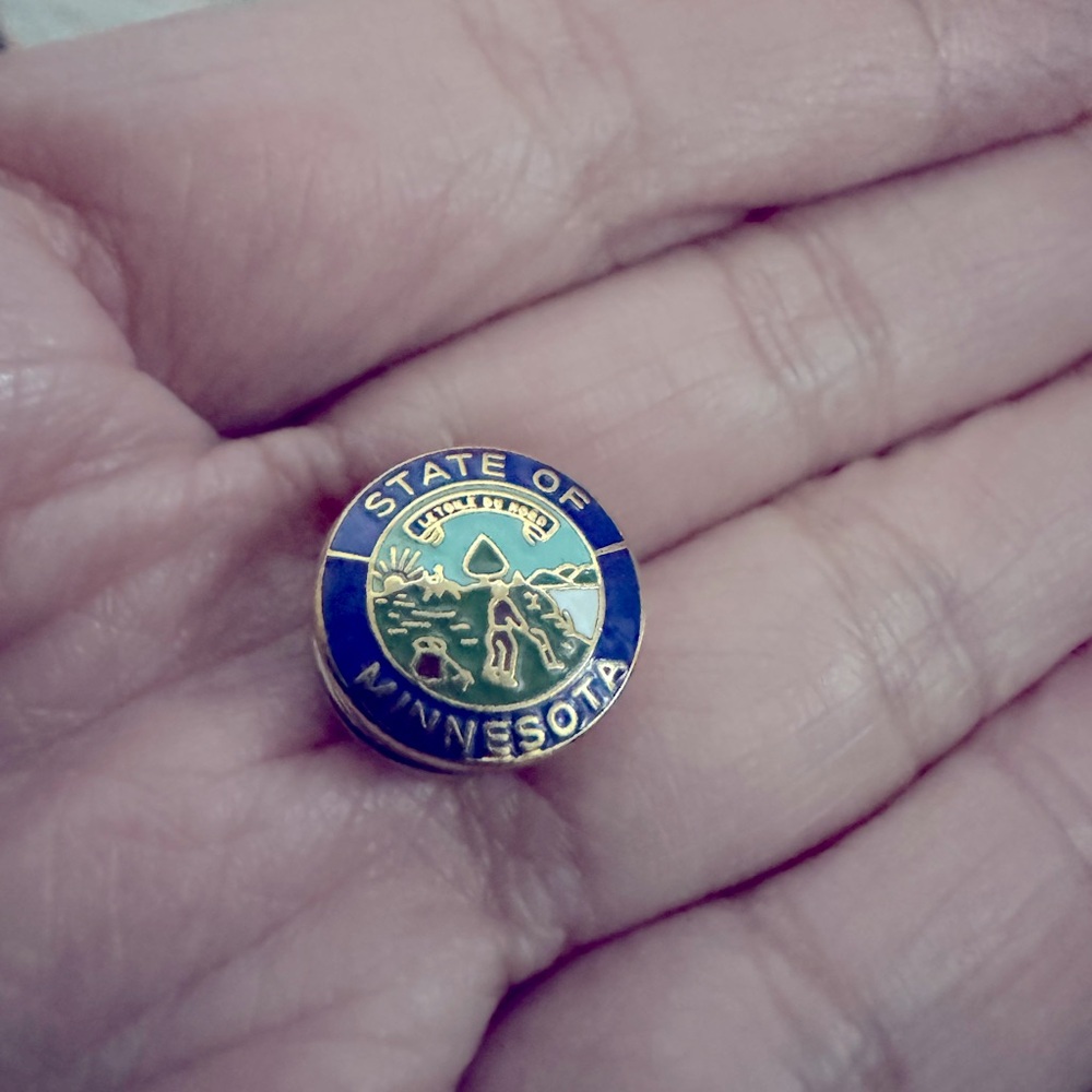 Minnesota state pin